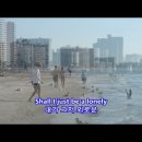 Stranger on the shore(해변의길손)-Andy Williams 이미지