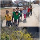 글쓰기 레시피, 봄 이미지