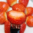 단북애청년 이미지