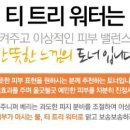 트리워터(tree water)