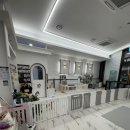 어반독 | 어반독 애견유치원 왕십리