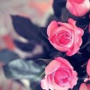 아름다운여성한의원 이미지