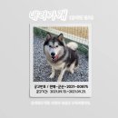 진포로 이미지