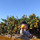 민우네농장 이미지