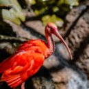 종합모바일 이미지