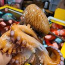 유성상회 이미지