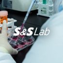 에스와이랩 이미지