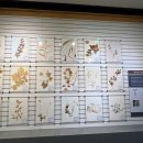 경북대학교자연사박물관 이미지