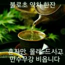 불로초의 비밀 이미지