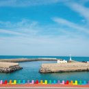 하이제인 이미지