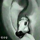 달콤한아재 이미지