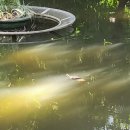 구룡공원 화장실 이미지