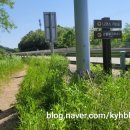 세븐일레븐 영덕우진점 이미지