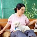 장원오리백숙 매생이국밥 이미지