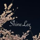 지성스테이 | 수부지 민감성 파운데이션 인생템 헤라 실키 스테이 24H 롱웨어 파운데이션 23N1 후기