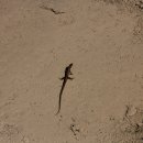 무장농장 이미지