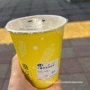 디저트하우스설레임 | 대만 융캉제 디저트 투어 후기<우스란·스무시하우스 솔직 리뷰>