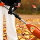 하송농장 이미지