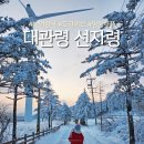 P-5721 | 대관령 핫플 옛길 휴게소 선자령 산책로 주차 정보