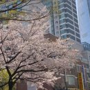 송파나루(놀이마당) 화장실 이미지