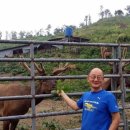 사슴자연 방목장 이미지