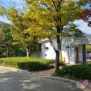 난지천4(놀이터) 이미지