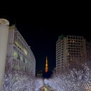 카페드도쿄 아산점 | [도쿄여행] 직접 다녀온 도쿄 맛집 카페 총정리 (긴자, 니혼바시, 시부야)