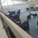 지티농장 이미지