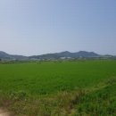 상학보건진료소 네이버블로그