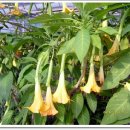 월드허브 이미지