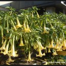 세천초등학교 이미지