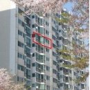 메디컬옥션 이미지