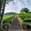 보성행정사사무소 이미지