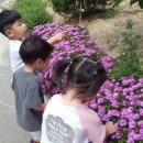 다송경로당 이미지