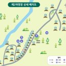 청옥산휴양림 | 경북 봉화 청옥산자연휴양림 야영장 이용후기, 노～오랗게 물들어 가는 가을숲에 싸～한 가을 공기까지...