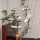 초우농장 이미지