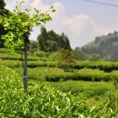 고승농장 이미지