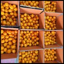 승자농장 이미지