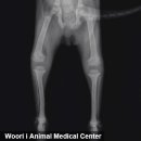 조치원메디컬센터 이미지