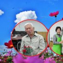 코스모스환경 이미지