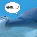 따봉여행사