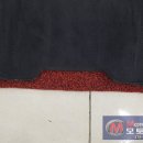 레드모토 이미지