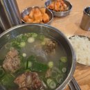 조선옥 | 을지로 점심 맛집 노포 감성, 조선옥 점심 갈비탕 후기