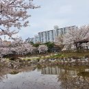 국원고등학교 Daum카페