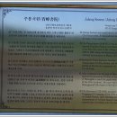 강진5호 이미지