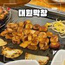대원 | 대구 성당동 맛집 막창 찐 맛집 ‘대원막창’ 내돈내산 후기