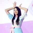 엘리스 티브이데일리