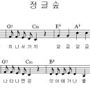 [동 요] 악어떼 / 정글숲을 지나서 가자 [동요무료듣기 + 악보] 이미지