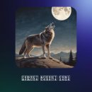 •아침마당/멜로디^ 이미지