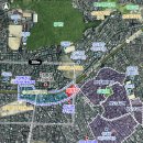 성대시장 이미지